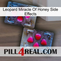 Leopard Miracle Of Honey Side Effects 15